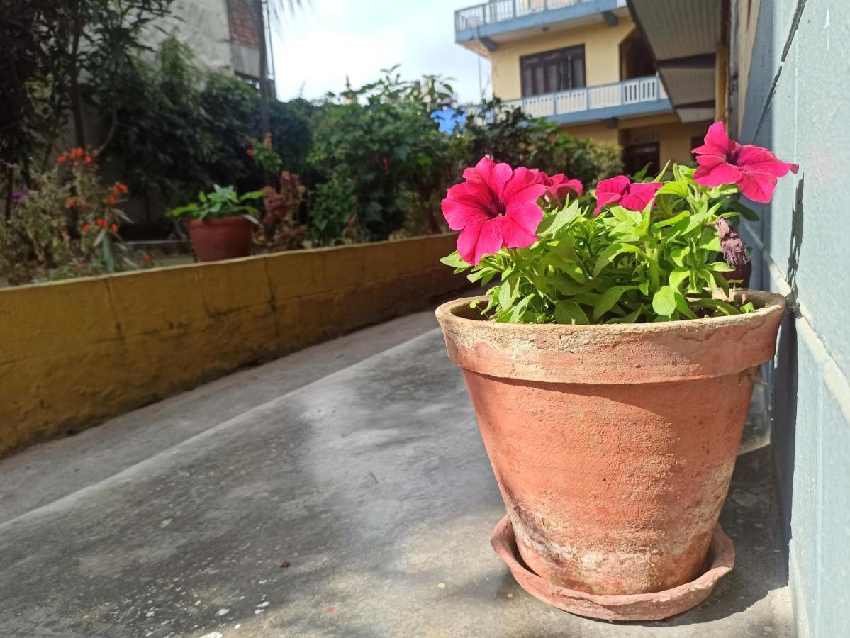Pushpa Guest House Pokhara Zewnętrze zdjęcie